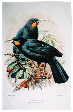 Huia Bird of New Zealand Tea Towel