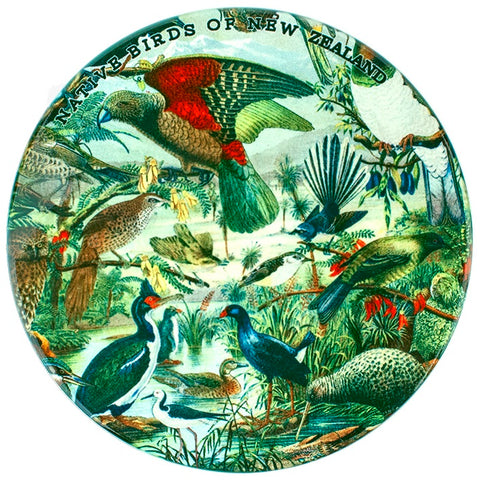 Native Birds of New Zealand Prestige Coaster Set