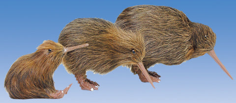 Realistic Brown Fur Kiwi