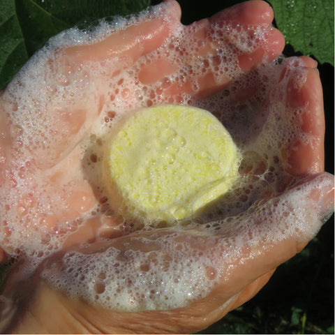 Lemon Coromandel Beach Shampoo Bar